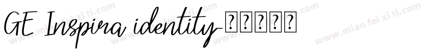 GE Inspira identity字体转换